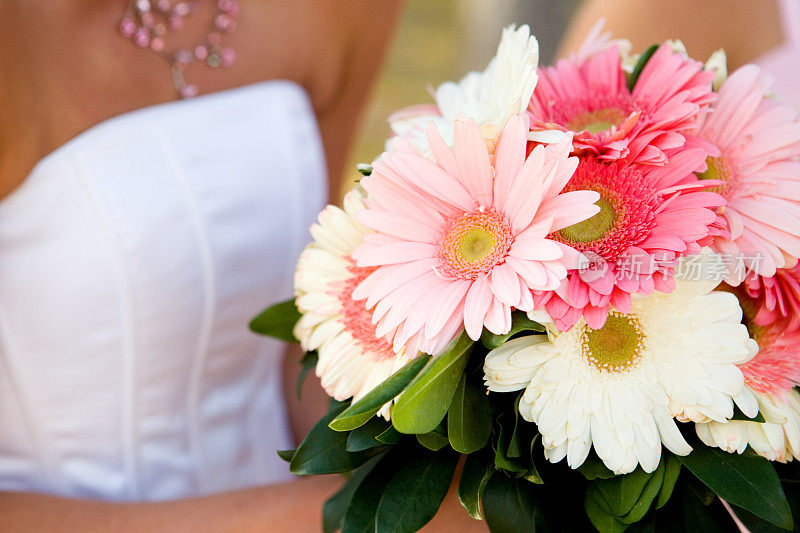 新娘Gerber Daisy Bouquet